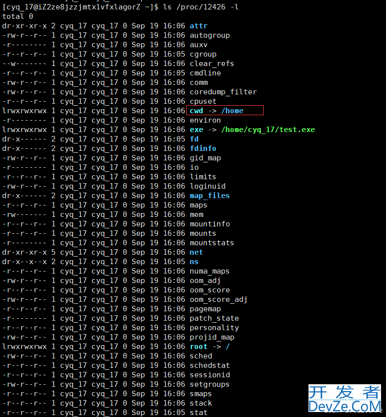 Linux环境变量&&进程地址空间详解