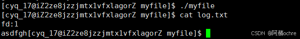 Linux文件重定向&&文件缓冲区解读