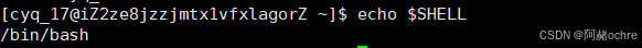 Linux环境变量&&进程地址空间详解