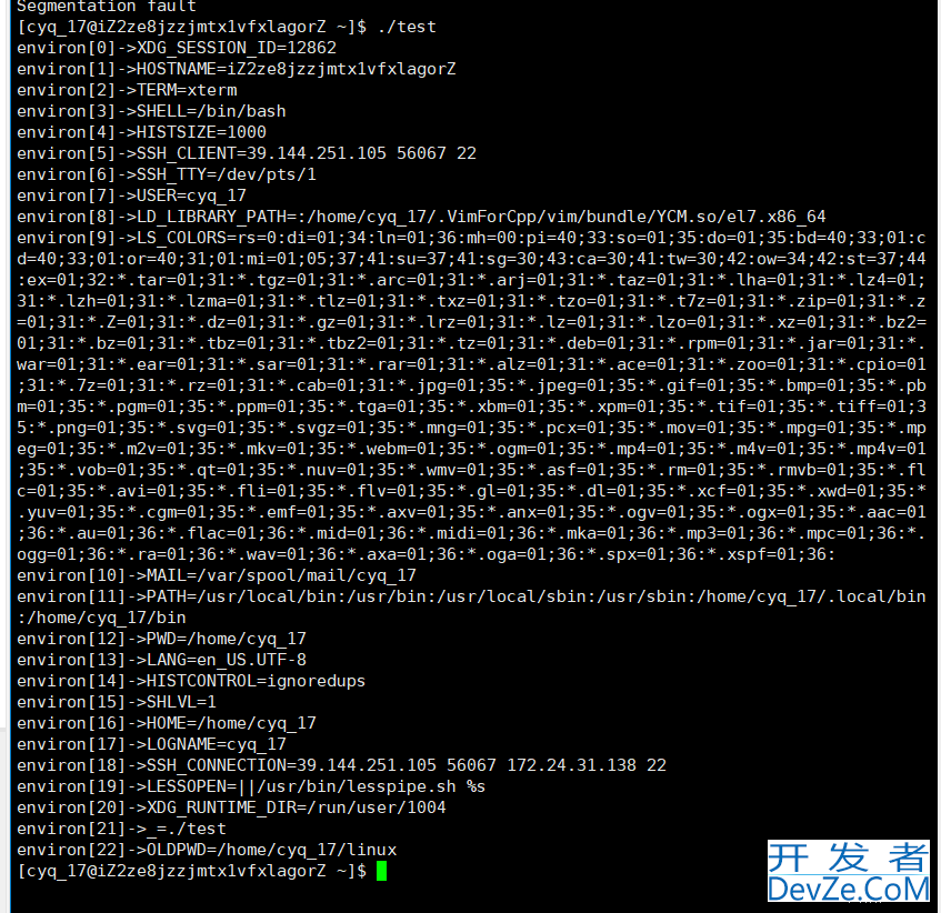 Linux环境变量&&进程地址空间详解