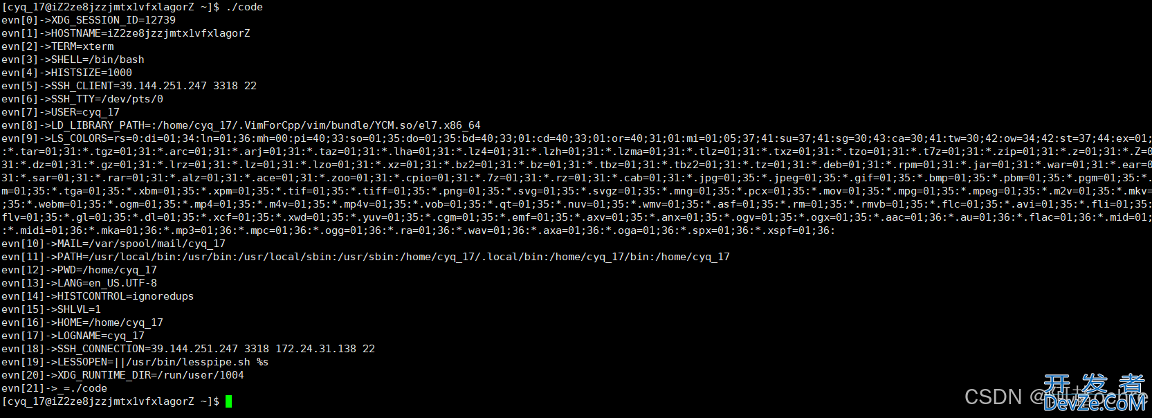 Linux环境变量&&进程地址空间详解