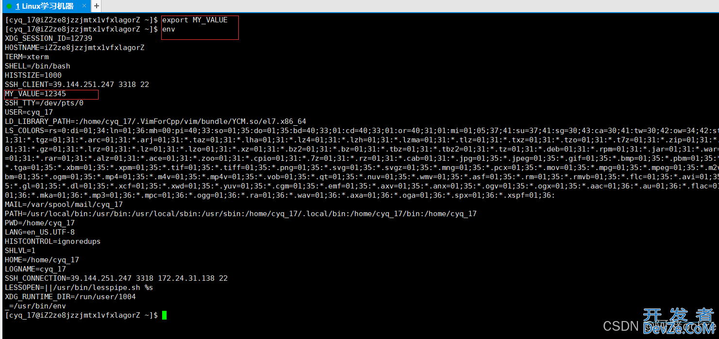 Linux环境变量&&进程地址空间详解