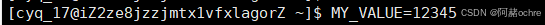 Linux环境变量&&进程地址空间详解