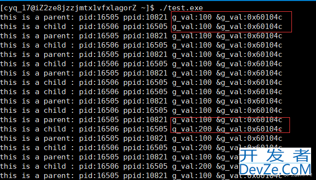 Linux环境变量&&进程地址空间详解