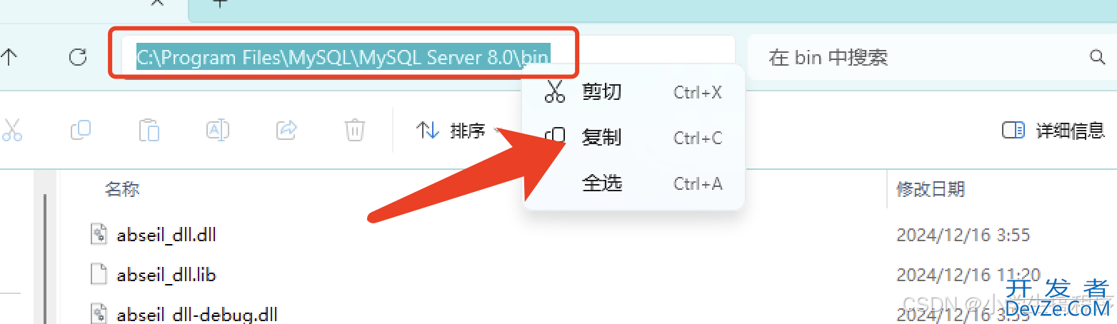 MySQL 8.0.41图文详细安装教程 附安装包