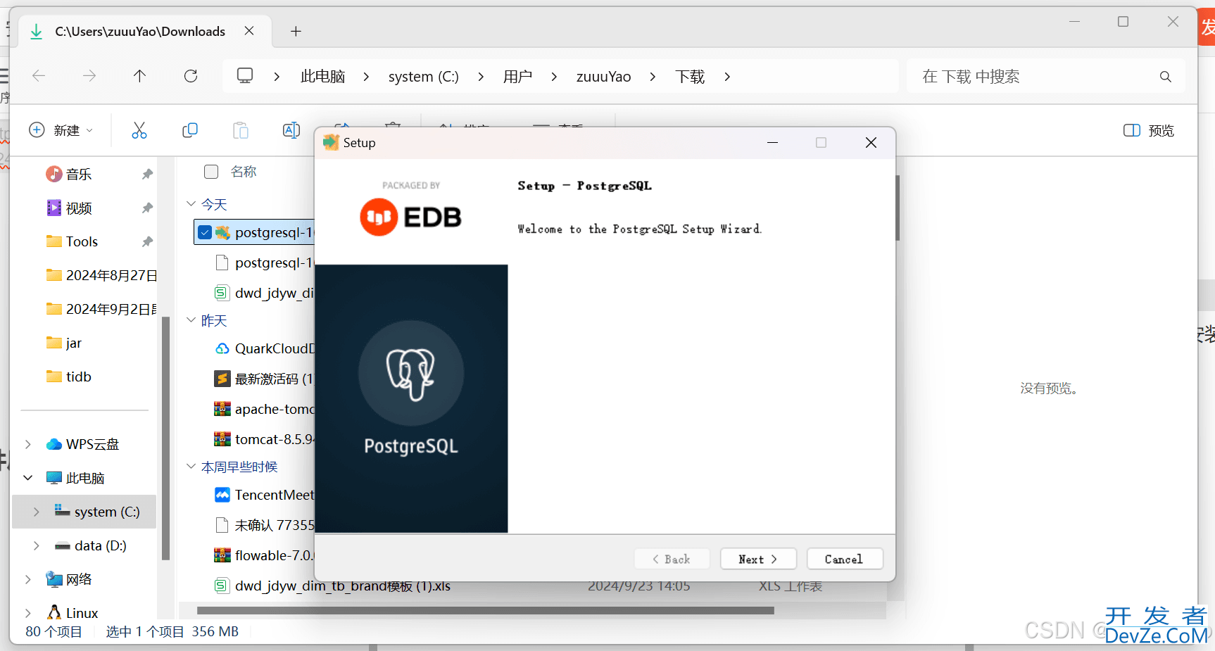 Win11安装PostgreSQL数据库的两种方式详细步骤