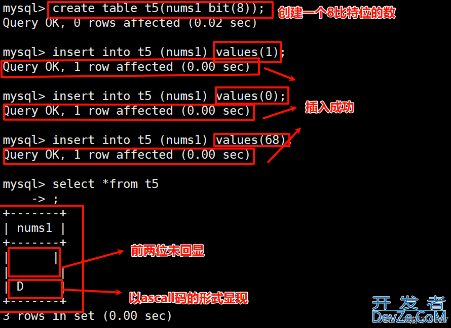 Mysql中的数据类型用法及解读