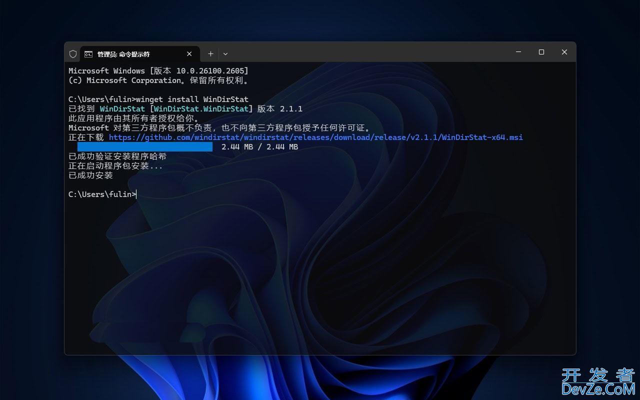 windows如何查看文件夹大小? 轻松在Win11上查看文件夹大小的6种方法