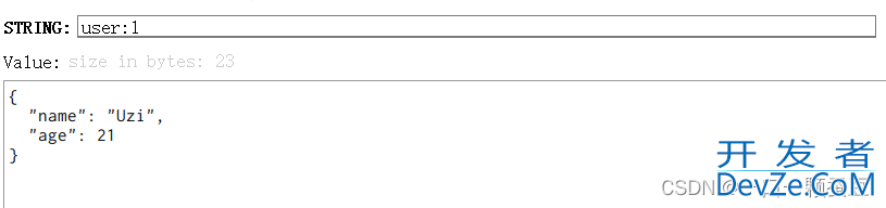 Redis Java客户端建立的两种方式小结