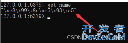 Redis Java客户端建立的两种方式小结