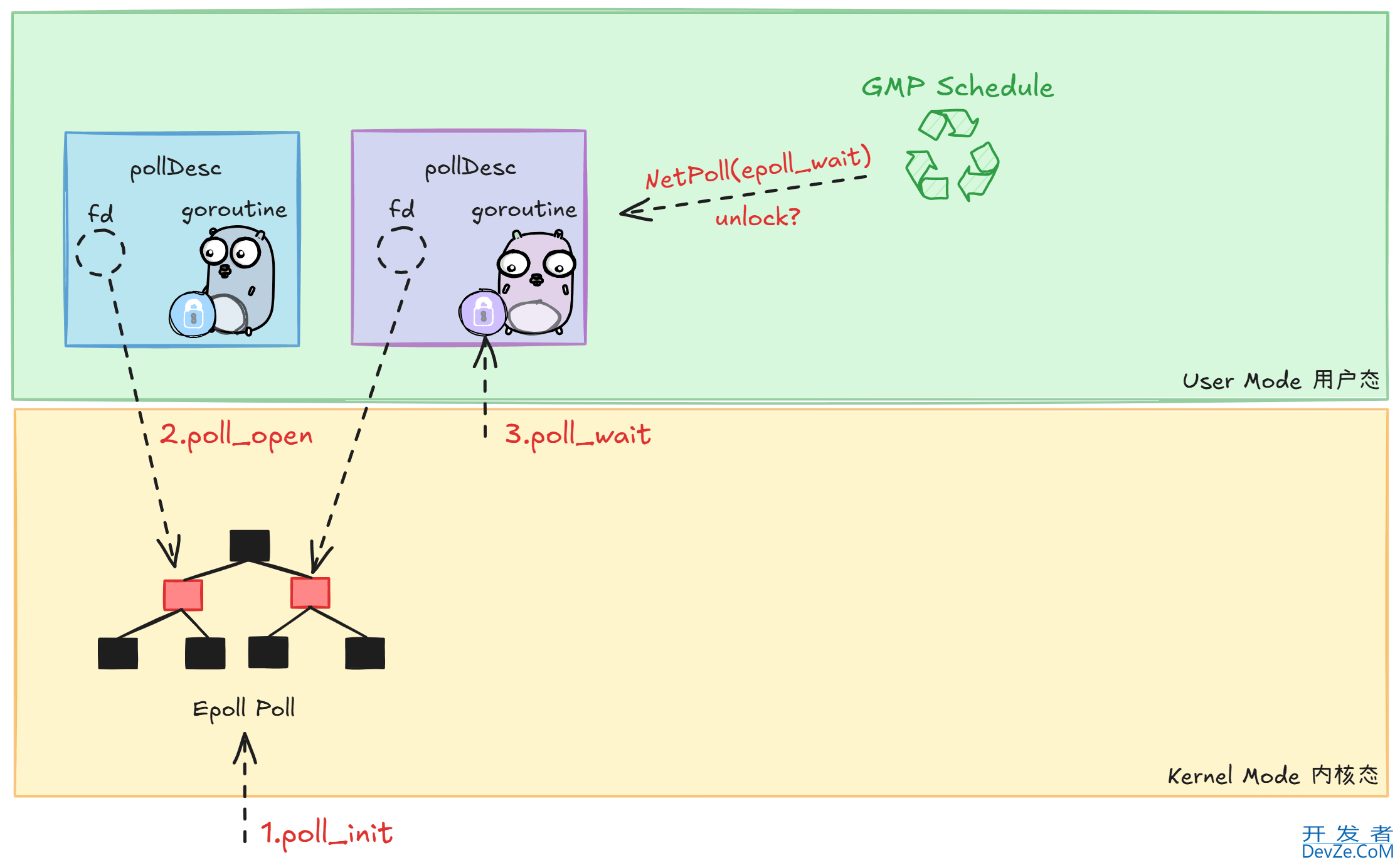 Golang网络模型netpoll源码解析(具体流程)