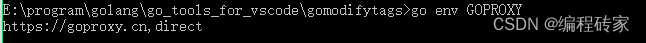 vscode 通过Go:Install/Update Tools命令安装失败的问题解决