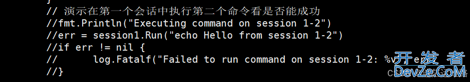 golang标准库SSH操作示例详解