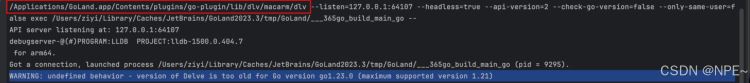 Goland debug失效详细解决步骤(合集)