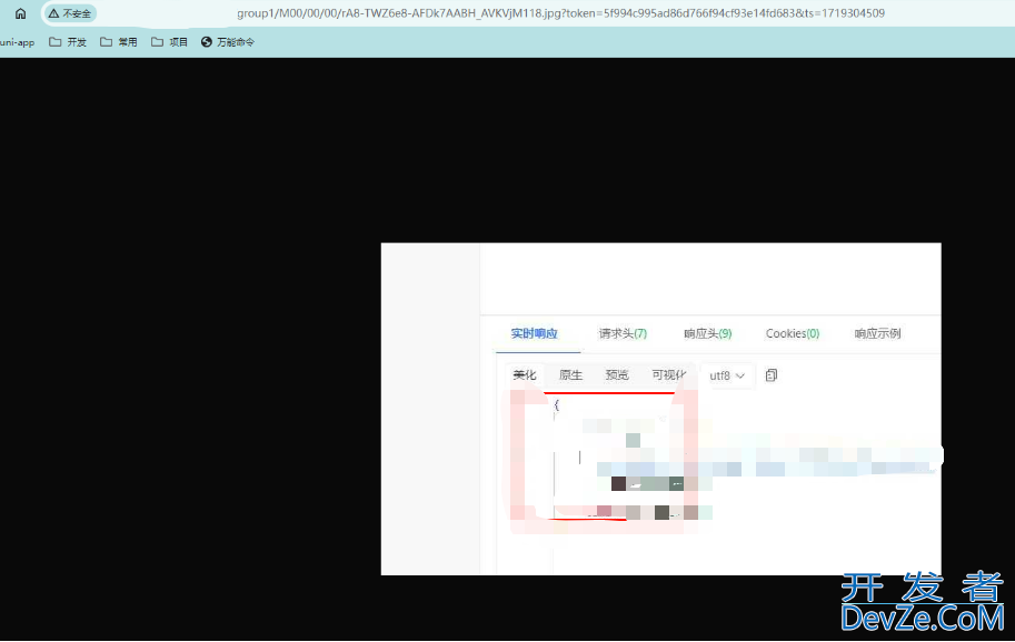 SpringBoot集成FastDFS实现防盗链功能