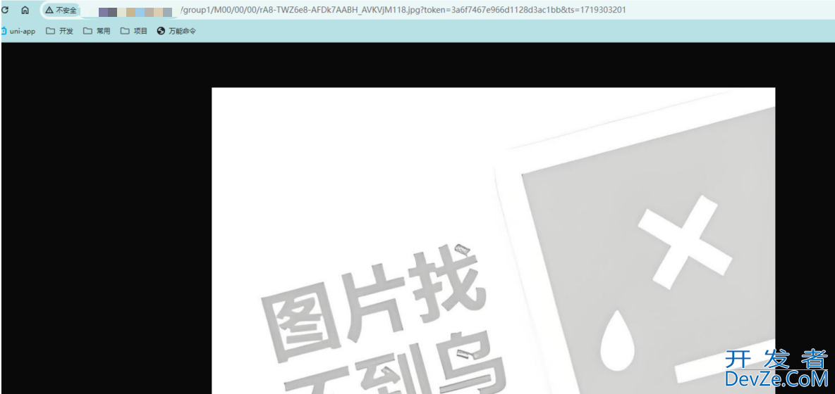 SpringBoot集成FastDFS实现防盗链功能