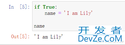Python中局部变量和全局变量举例详解