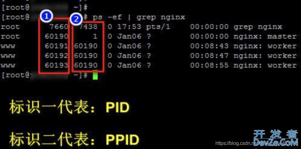 linux清除端口占用方式