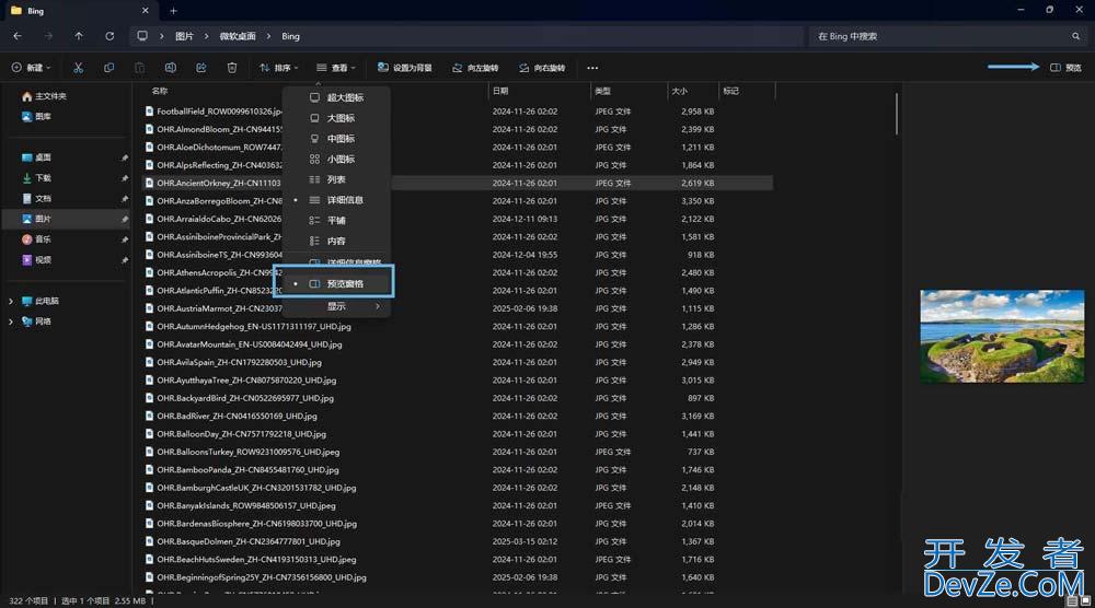 win11文件预览怎么打开? 4 种实用方法在电脑上直接预览文件内容