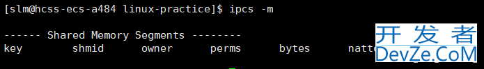 Linux之systemV共享内存方式