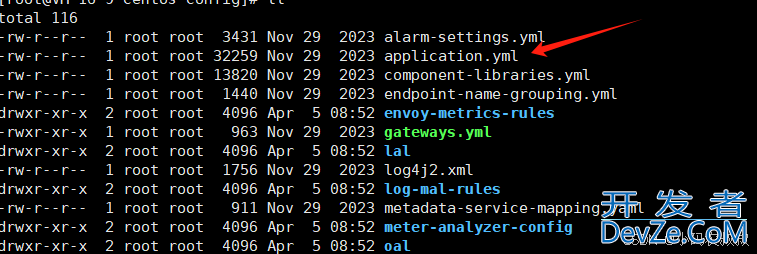 SpringBoot制作Docker镜像接入SkyWalking的详细过程