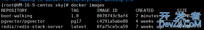 SpringBoot制作Docker镜像接入SkyWalking的详细过程