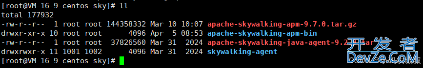 SpringBoot制作Docker镜像接入SkyWalking的详细过程