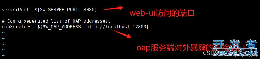 SpringBoot制作Docker镜像接入SkyWalking的详细过程
