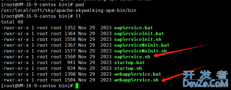SpringBoot制作Docker镜像接入SkyWalking的详细过程