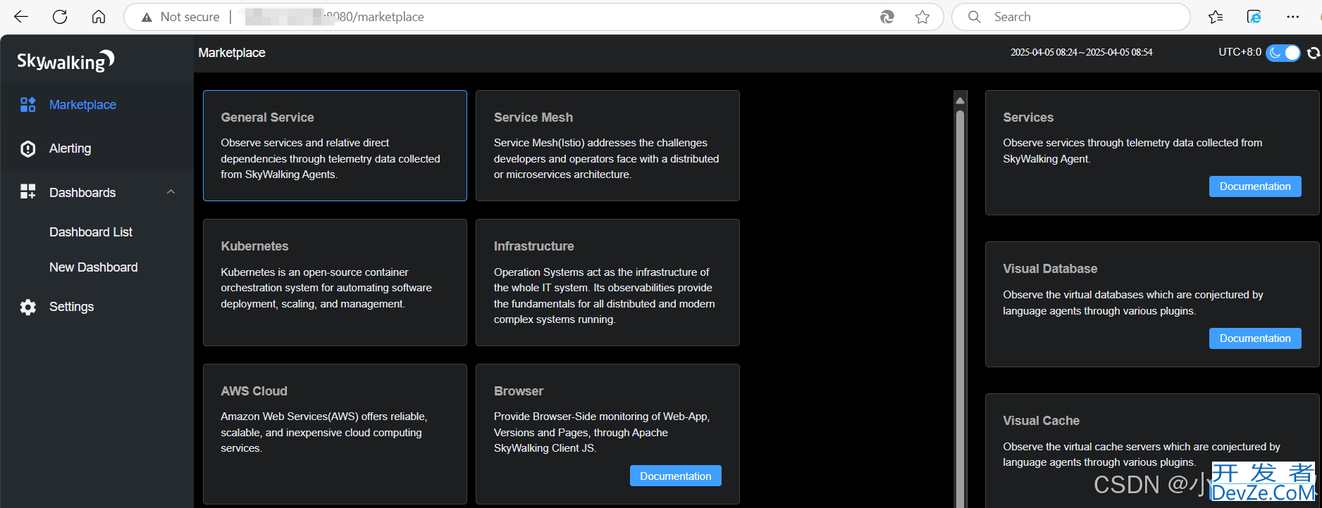 SpringBoot制作Docker镜像接入SkyWalking的详细过程