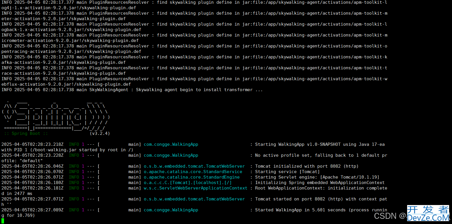 SpringBoot制作Docker镜像接入SkyWalking的详细过程
