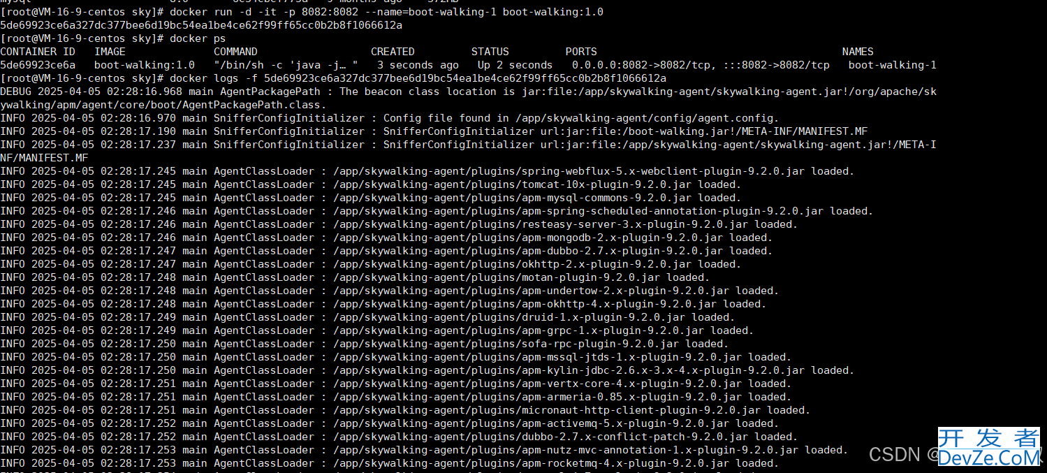 SpringBoot制作Docker镜像接入SkyWalking的详细过程
