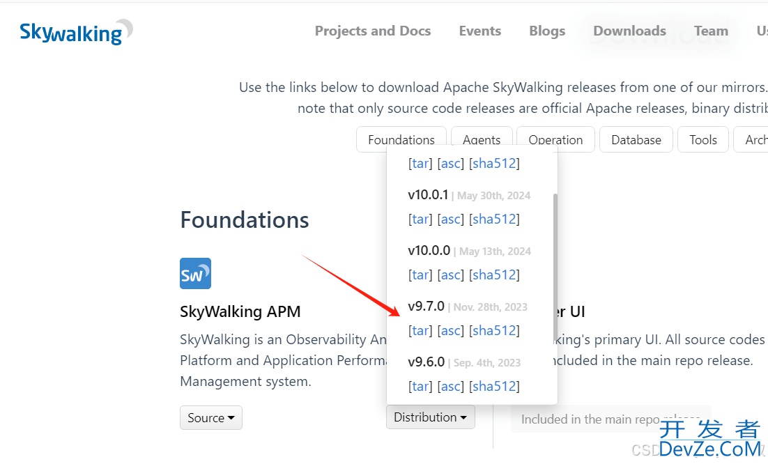 SpringBoot制作Docker镜像接入SkyWalking的详细过程