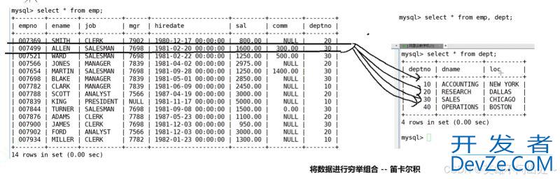 MySQL 复合查询案例详解