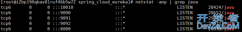 全解析Spring Cloud之负载均衡之LoadBalance