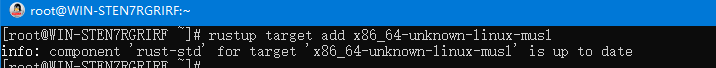 使用win10 wsl子系统如何将 rust 程序静态编译为linux可执行文件