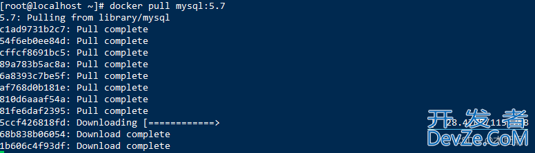 Docker安装MySQL镜像的详细步骤(适合新手小白)
