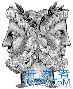 Python解决雅努斯问题实例方案详解