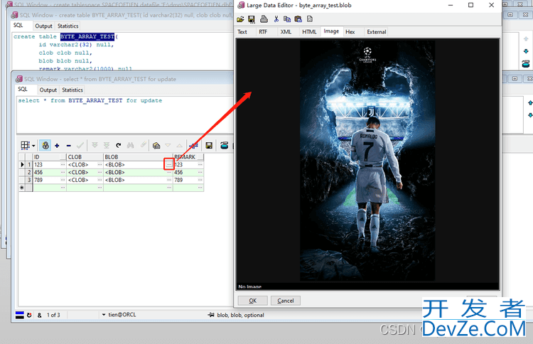 Java通过Mybatis操作Oracle的Clob和Blob的解决方式