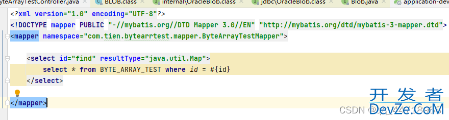 Java通过Mybatis操作Oracle的Clob和Blob的解决方式