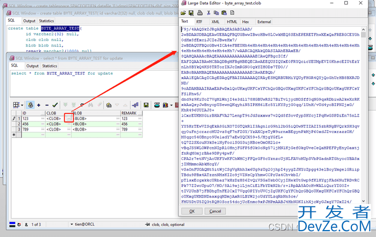Java通过Mybatis操作Oracle的Clob和Blob的解决方式