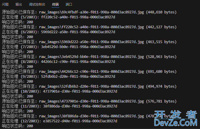 使用Python实现调用API获取图片存储到本地的方法