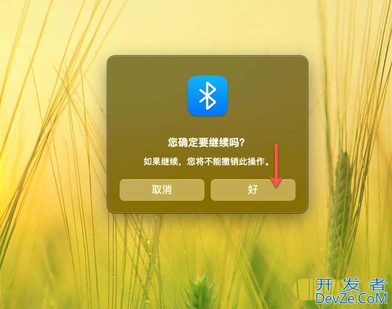 电脑蓝牙连不上怎么办? 5 招教你轻松修复Mac蓝牙连接问题的技巧