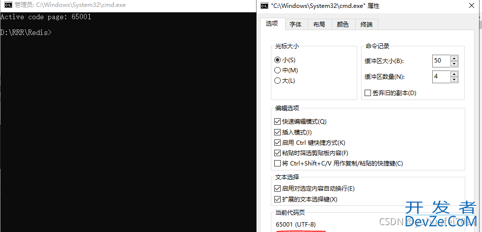 Redis出现中文乱码的问题及解决