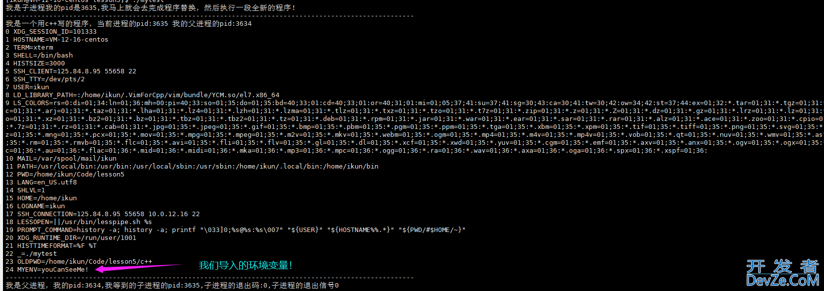 Linux程序替换方式