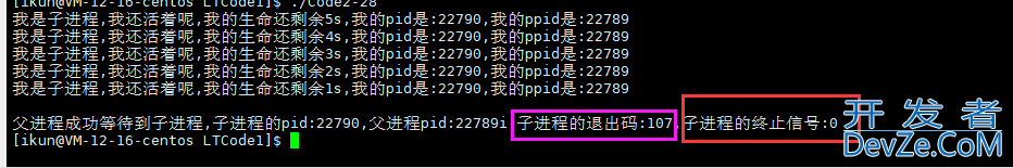 Linux下的进程控制解读