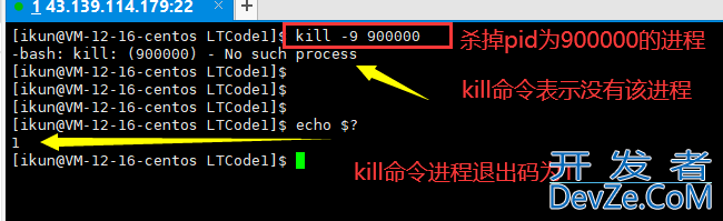 Linux下的进程控制解读
