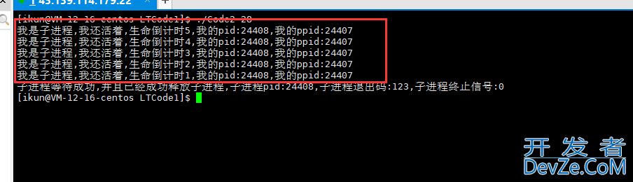 Linux下的进程控制解读