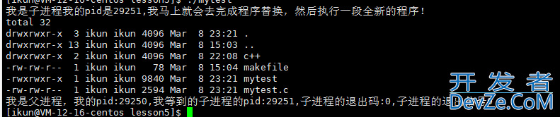 Linux程序替换方式