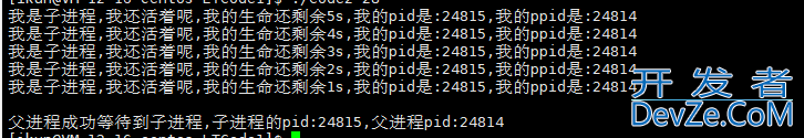 Linux下的进程控制解读